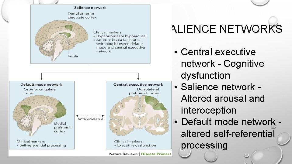 SALIENCE NETWORKS • Central executive network - Cognitive dysfunction • Salience network Altered arousal