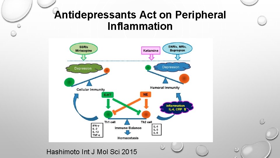 Antidepressants Act on Peripheral Inflammation Hashimoto Int J Mol Sci 2015 