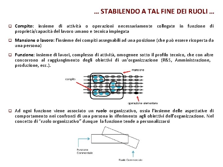 … STABILENDO A TAL FINE DEI RUOLI … q Compito: insieme di attività o