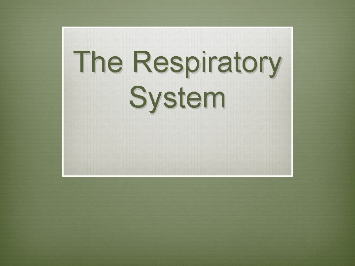 The Respiratory System 