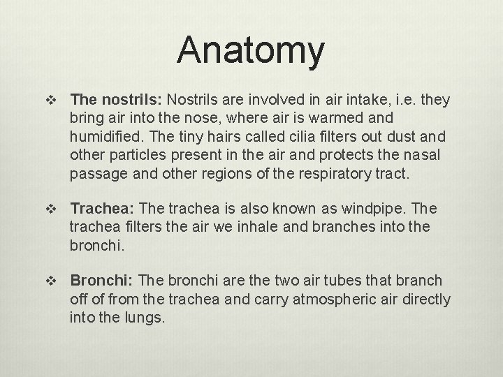 Anatomy v The nostrils: Nostrils are involved in air intake, i. e. they bring