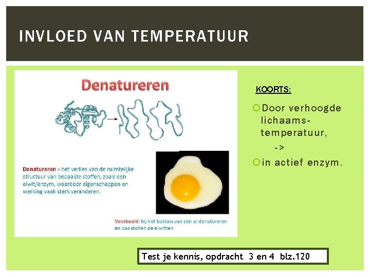 INVLOED VAN TEMPERATUUR KOORTS: Door verhoogde lichaamstemperatuur, -> in actief enzym. Test je kennis,