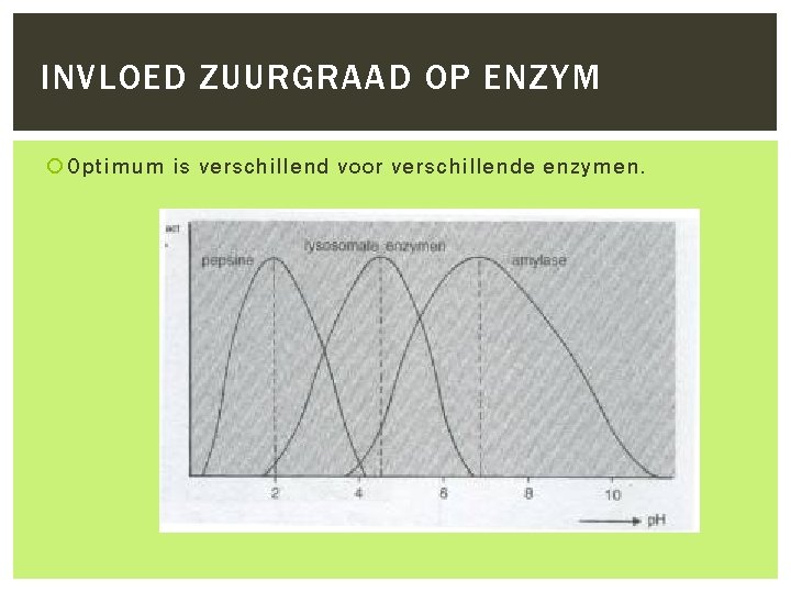 INVLOED ZUURGRAAD OP ENZYM Optimum is verschillend voor verschillende enzymen. 