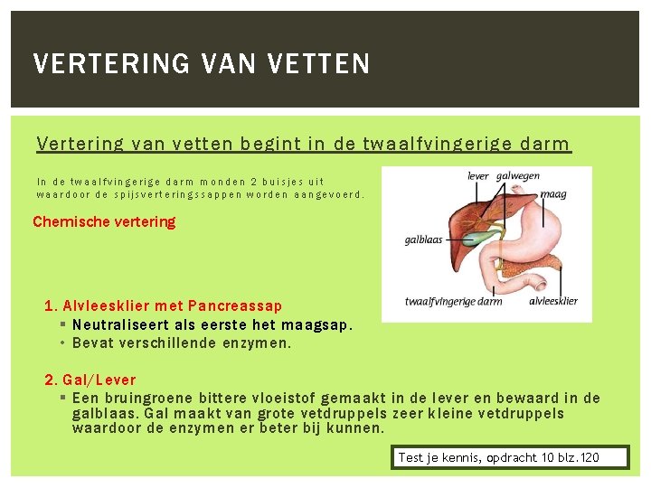 VERTERING VAN VETTEN Vertering van vetten begint in de twaalfvingerige darm In de twaalfvingerige