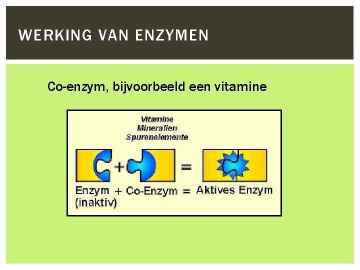 WERKING VAN ENZYMEN Co-enzym, bijvoorbeeld een vitamine 