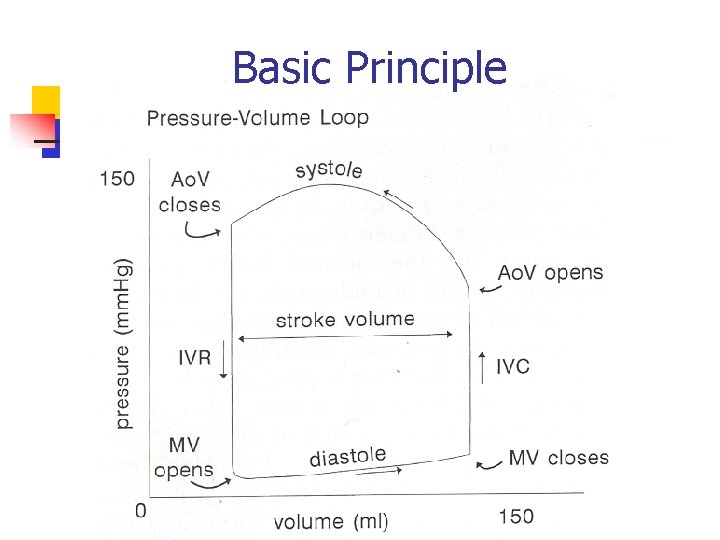 Echocardiographic Assessment of Left Ventricular Systolic Function Rasoul