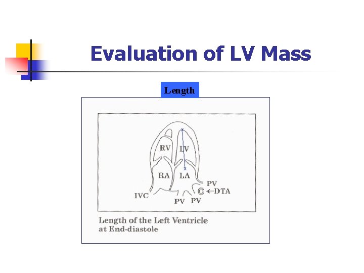 Echocardiographic Assessment of Left Ventricular Systolic Function Rasoul