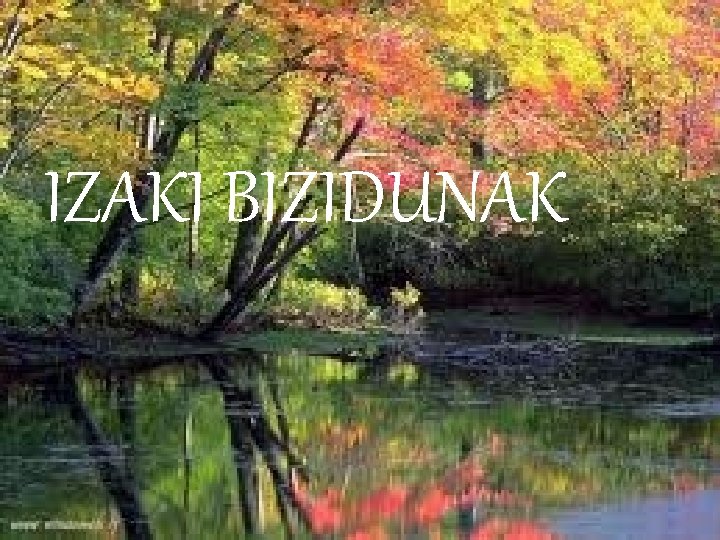 IZAKI BIZIDUNAK 