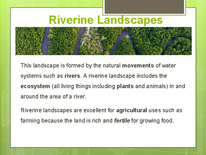 Riverine Landscapes This landscape is formed by the natural movements of water systems such