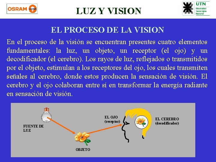 LUZ Y VISION EL PROCESO DE LA VISION En el proceso de la visión