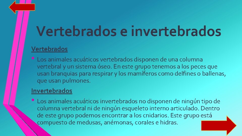 Vertebrados e invertebrados Vertebrados • Los animales acuáticos vertebrados disponen de una columna vertebral