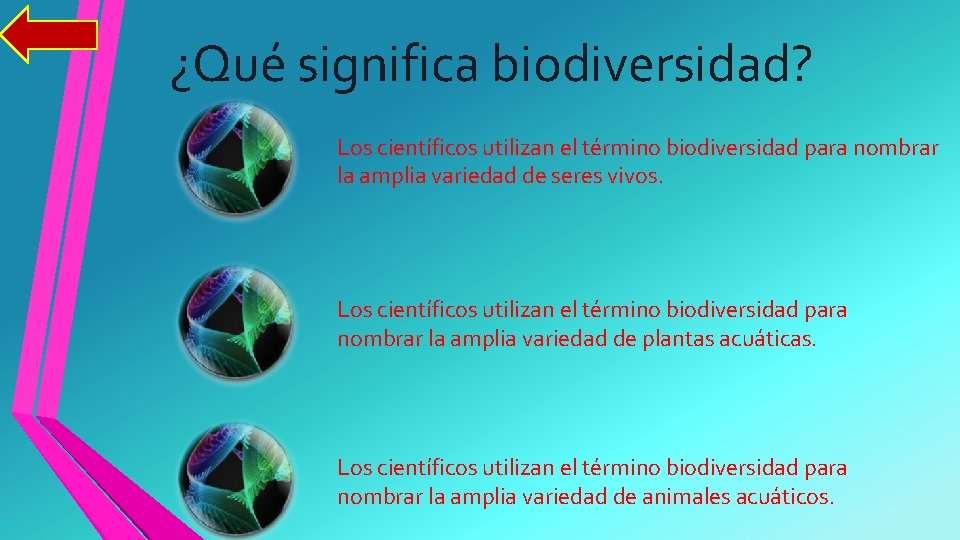 ¿Qué significa biodiversidad? Los científicos utilizan el término biodiversidad para nombrar la amplia variedad