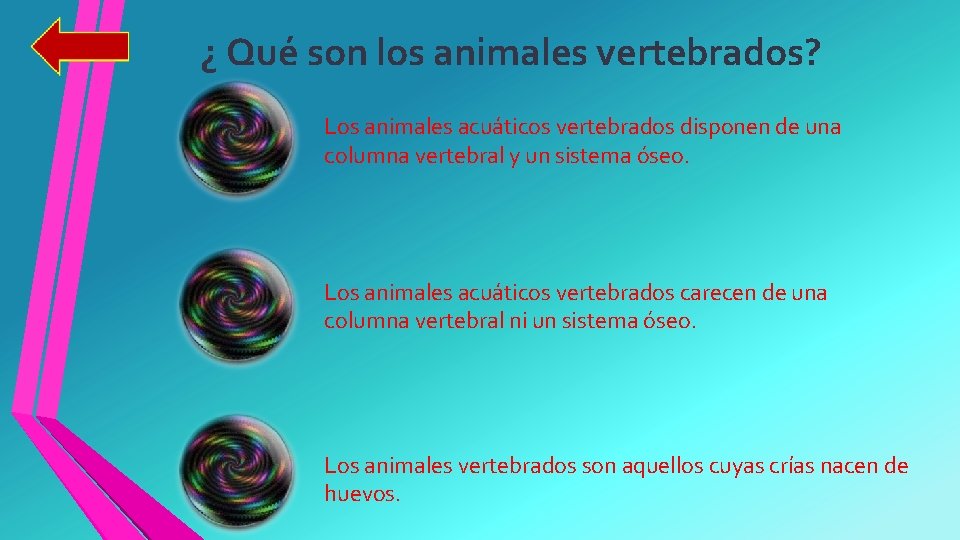 ¿ Qué son los animales vertebrados? Los animales acuáticos vertebrados disponen de una columna