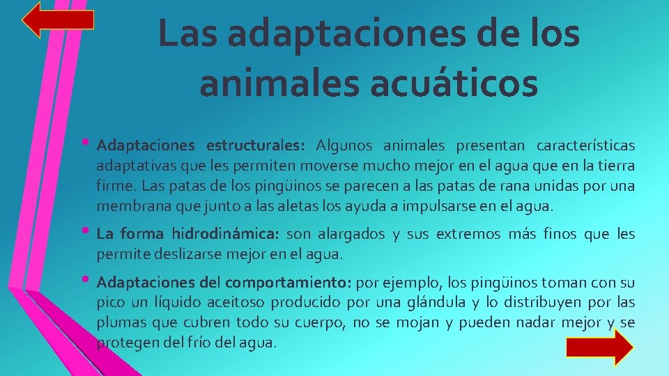 Las adaptaciones de los animales acuáticos • Adaptaciones estructurales: Algunos animales presentan características adaptativas