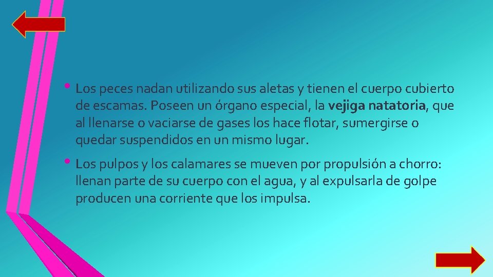  • Los peces nadan utilizando sus aletas y tienen el cuerpo cubierto de