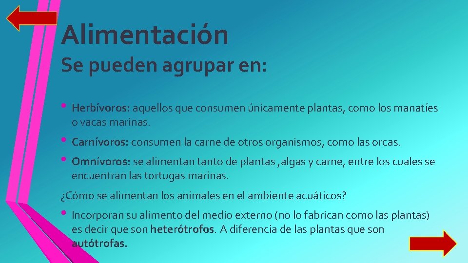 Alimentación Se pueden agrupar en: • Herbívoros: aquellos que consumen únicamente plantas, como los