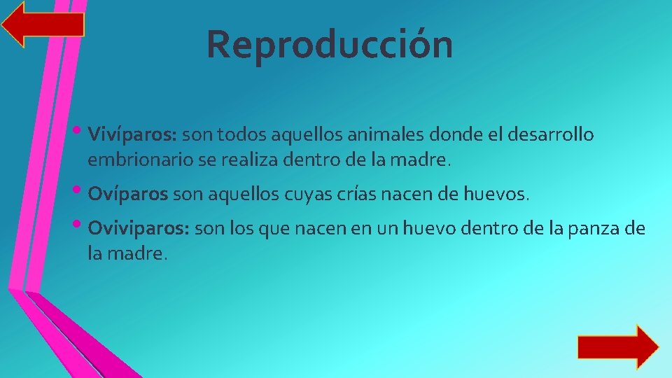 Reproducción • Vivíparos: son todos aquellos animales donde el desarrollo embrionario se realiza dentro