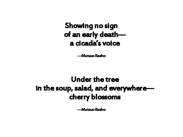 Showing no sign of an early death— a cicada’s voice —Matsuo Basho Under the
