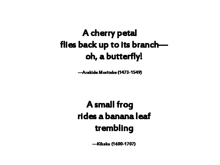 A cherry petal flies back up to its branch— oh, a butterfly! —Arakide Moritake