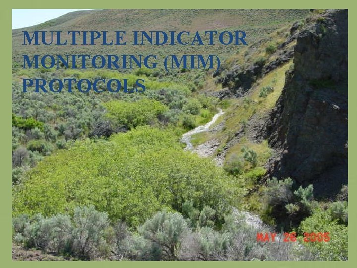 MULTIPLE INDICATOR MONITORING (MIM) PROTOCOLS 
