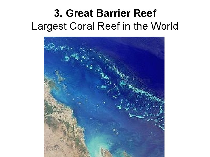 3. Great Barrier Reef Largest Coral Reef in the World 