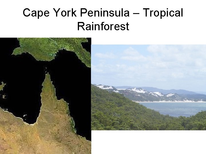 Cape York Peninsula – Tropical Rainforest 