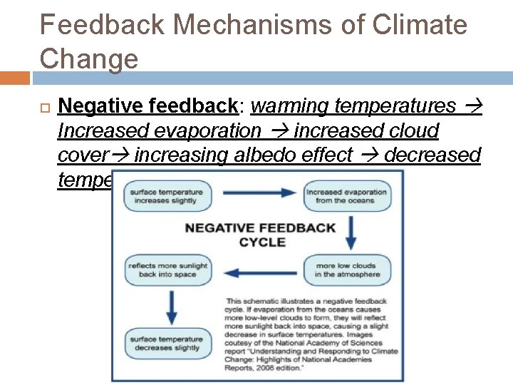 Feedback Mechanisms of Climate Change Negative feedback: warming temperatures Increased evaporation increased cloud cover