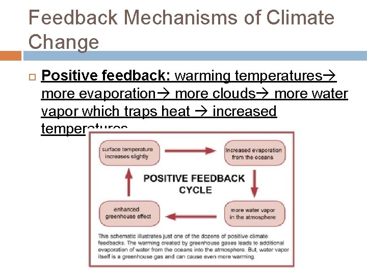 Feedback Mechanisms of Climate Change Positive feedback: warming temperatures more evaporation more clouds more