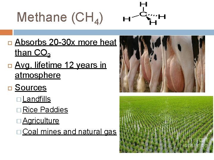 Methane (CH 4) Absorbs 20 -30 x more heat than CO 2 Avg. lifetime