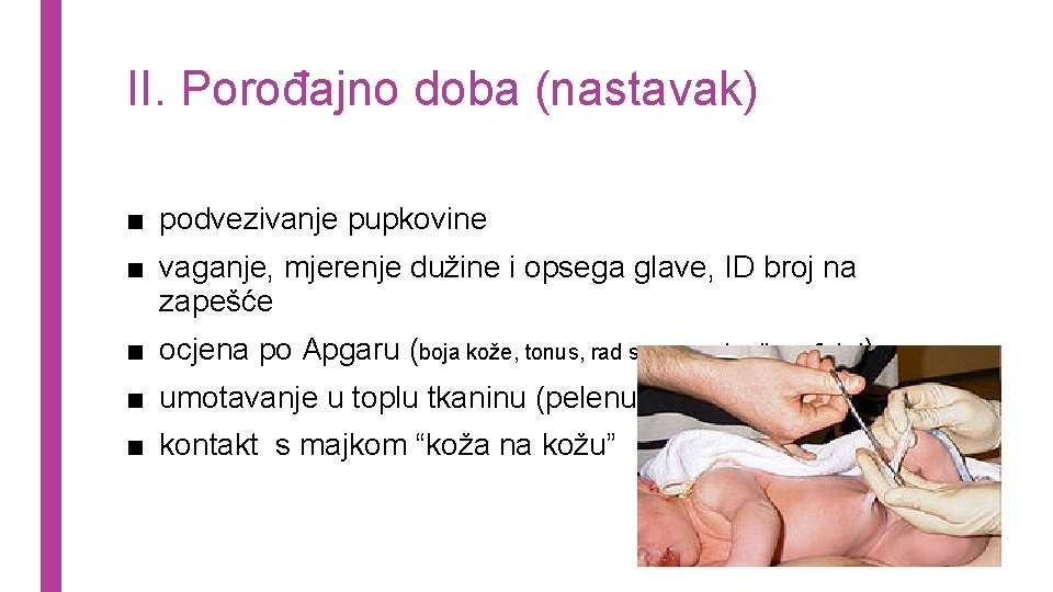 II. Porođajno doba (nastavak) ■ podvezivanje pupkovine ■ vaganje, mjerenje dužine i opsega glave,