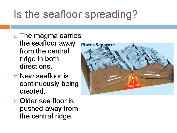 Is the seafloor spreading? The magma carries the seafloor away from the central ridge