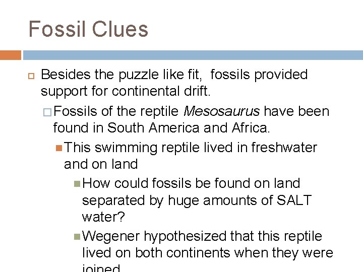 Fossil Clues Besides the puzzle like fit, fossils provided support for continental drift. �