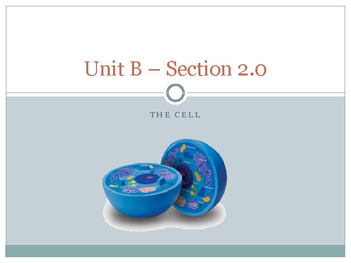 Unit B – Section 2. 0 THE CELL 