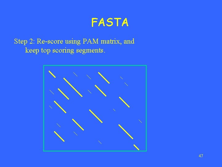 FASTA Step 2: Re-score using PAM matrix, and keep top scoring segments. 47 