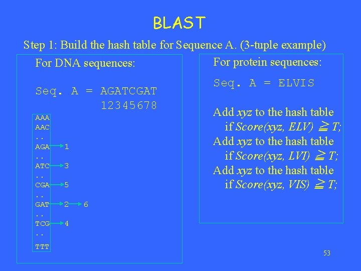 BLAST Step 1: Build the hash table for Sequence A. (3 -tuple example) For