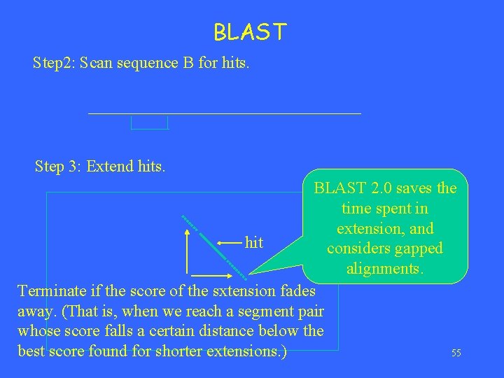 BLAST Step 2: Scan sequence B for hits. Step 3: Extend hits. BLAST 2.