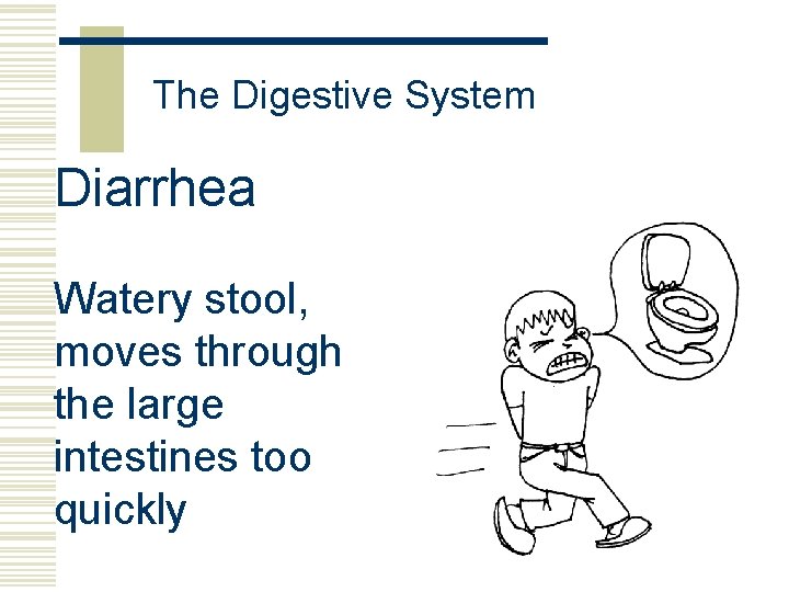 The Digestive System Diarrhea Watery stool, moves through the large intestines too quickly 