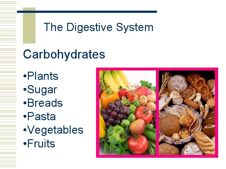 The Digestive System Carbohydrates • Plants • Sugar • Breads • Pasta • Vegetables