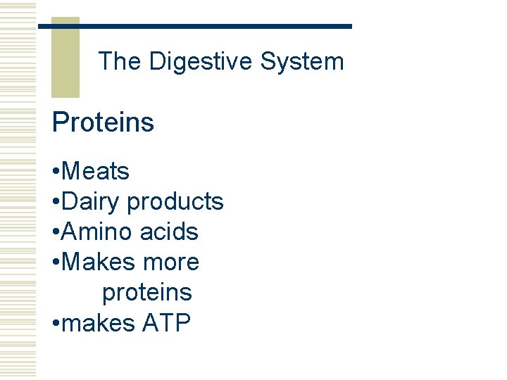 The Digestive System Proteins • Meats • Dairy products • Amino acids • Makes