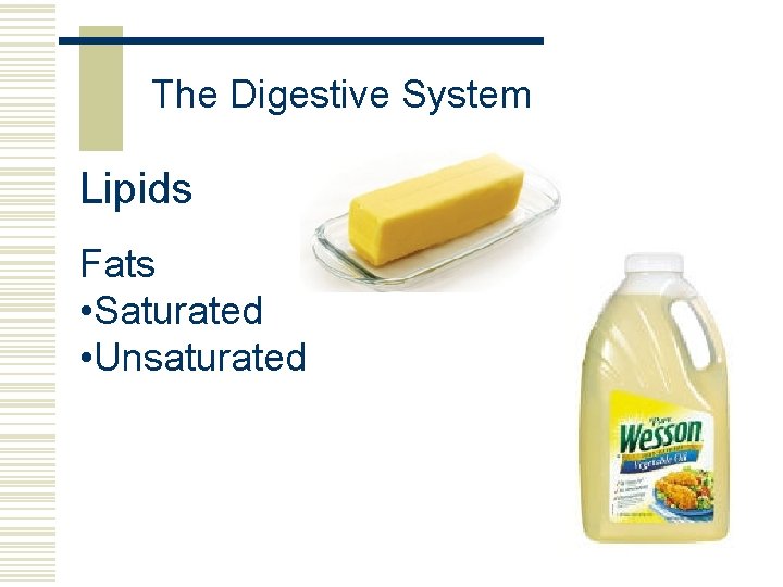 The Digestive System Lipids Fats • Saturated • Unsaturated 