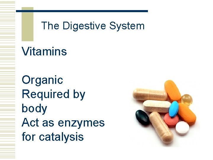 The Digestive System Vitamins Organic Required by body Act as enzymes for catalysis 