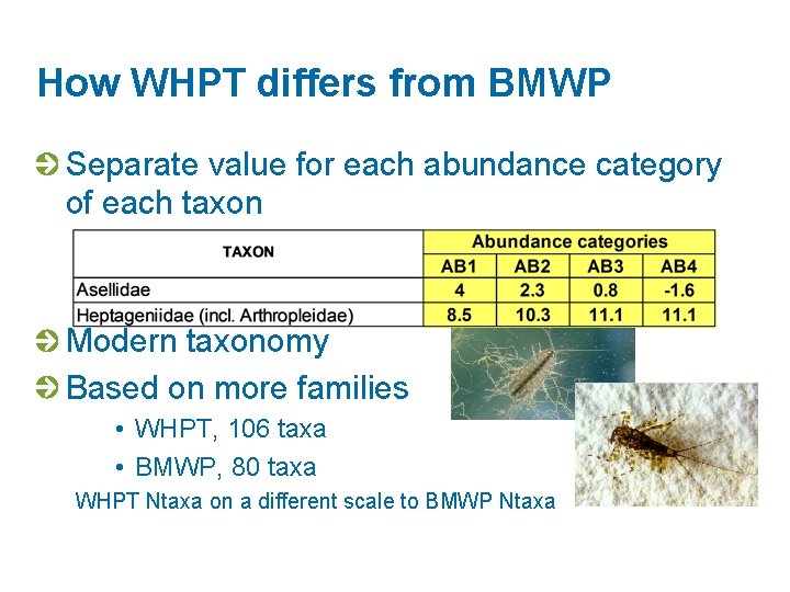 How WHPT differs from BMWP Separate value for each abundance category of each taxon