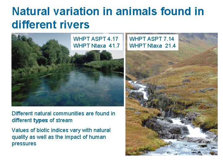 Natural variation in animals found in different rivers WHPT ASPT 4. 17 WHPT Ntaxa