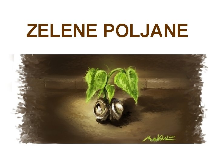 ZELENE POLJANE 