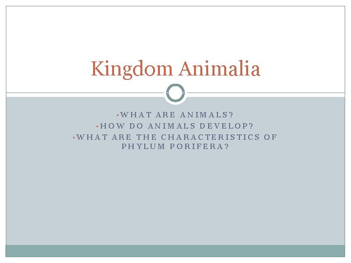 Kingdom Animalia • WHAT ARE ANIMALS? • HOW DO ANIMALS DEVELOP? • WHAT ARE