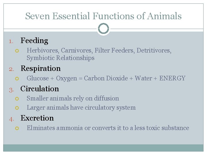 Seven Essential Functions of Animals Feeding 1. Herbivores, Carnivores, Filter Feeders, Detritivores, Symbiotic Relationships