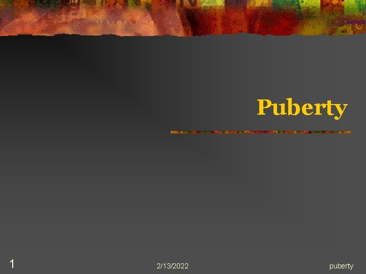 Puberty 1 2/13/2022 puberty 