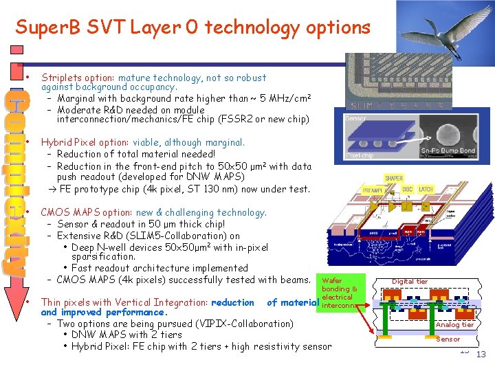 Super. B SVT Layer 0 technology options • Striplets option: mature technology, not so