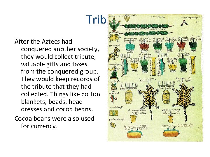 Tribute After the Aztecs had conquered another society, they would collect tribute, valuable gifts