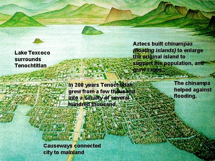 Island Home Aztecs built chinampas (floating islands) to enlarge the original island to support